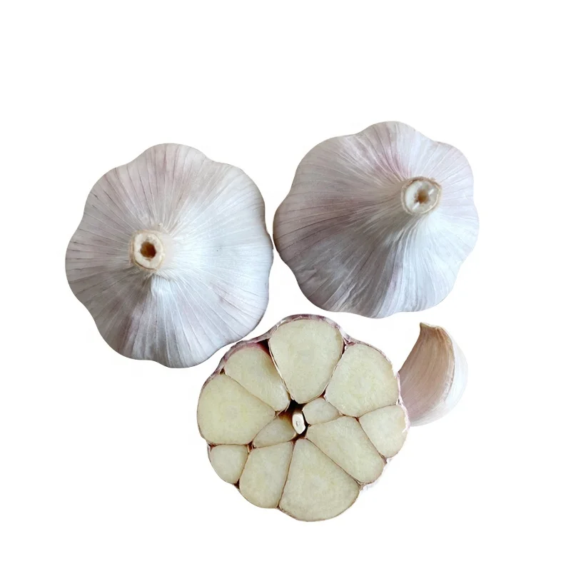 Garlic bawang putih cina fresh garlic garlic for Malaysia