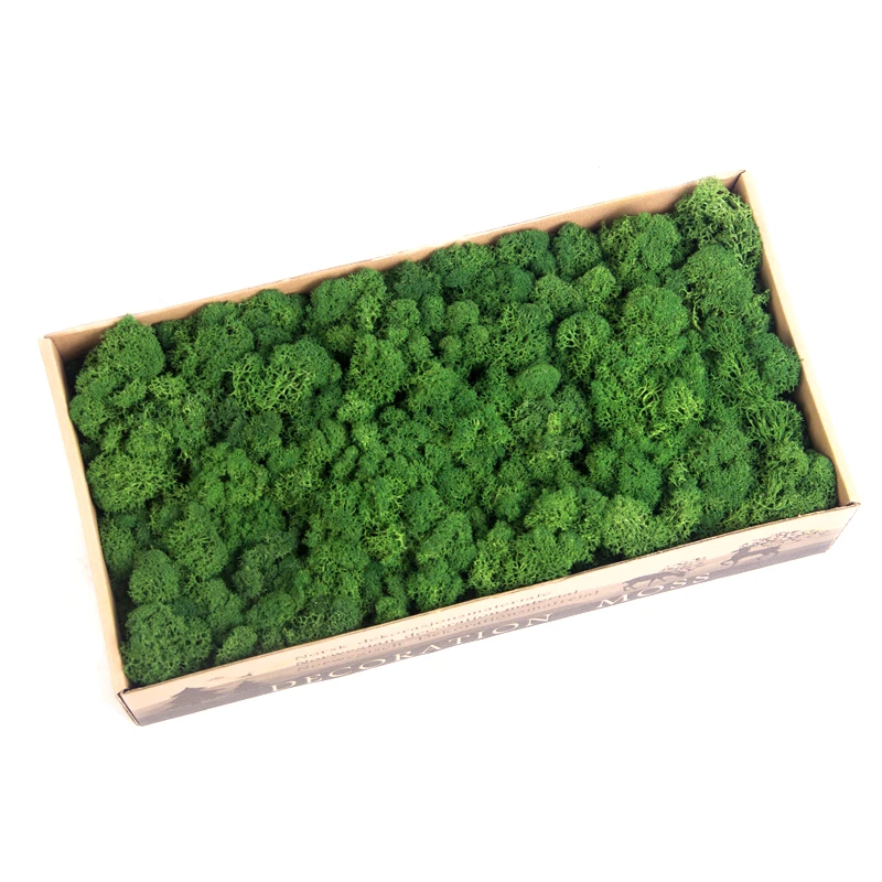High Quality Preserved Reindeer Artificial Moss Decorative DIY Stabilized Moss For Wall Decoration