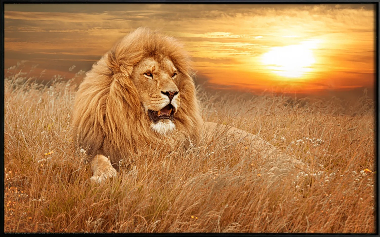 Art Works Crystal porcelain Painting Lion Animal Pictures Wall Art Living Room Modern Artwork Painting