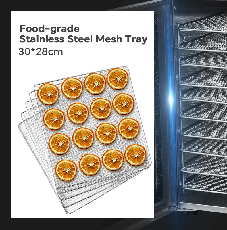 Home Use 10 trays fruit fish food mushroom dehydrator machine