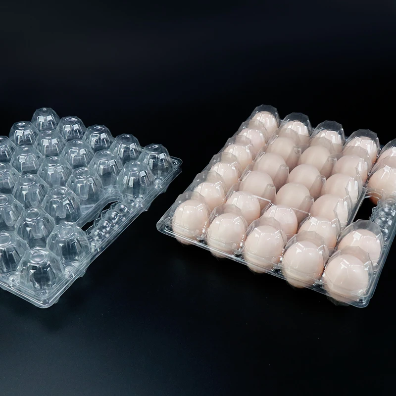 wholesale empty transparent disposable blister plastic packaging egg tray