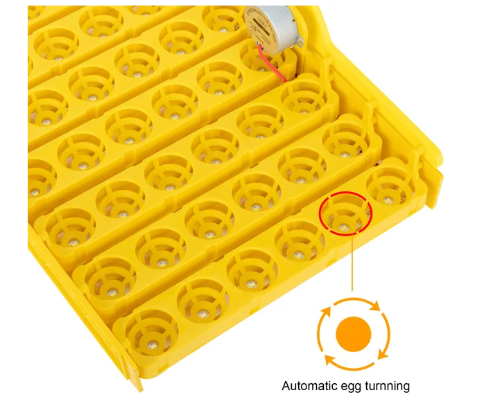42-Egg Practical Fully Automatic Poultry Incubator with Egg Candler US Standard Yellow & & White & Transparent