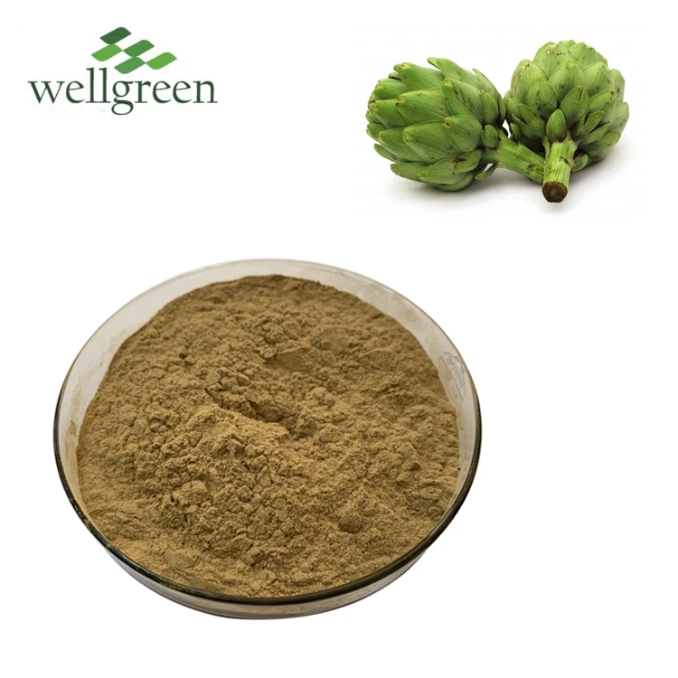 
High Quality 1%-10% Chlorogenic Acid 2.2% 5% Cynarin Powder Leaf Artichoke Extract 