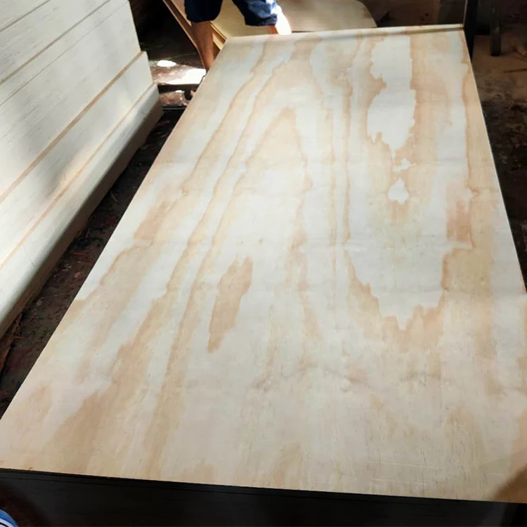 CDX Sheathing plywood construction 18mm marine plywood 4x8 commercial cdx / radiata pine plywood
