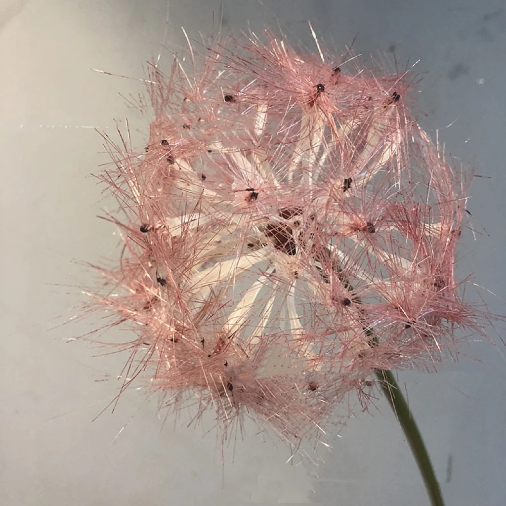High quality Artificial Flower White Dandelion Single Stem Silk Flowers Dandelion For Decoration