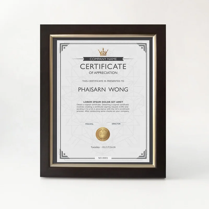 Пластиковые сертифицированные рамы, оптовая продажа, сертифицированные рамы для диплома на выпускной