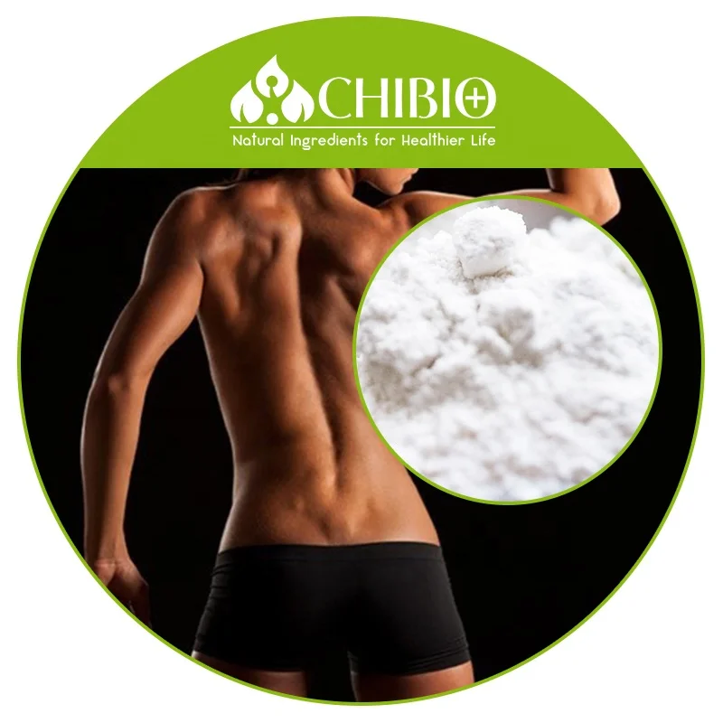 Best Selling Food Grade Methylsulfonylmethane MSM Powder Bulk Price