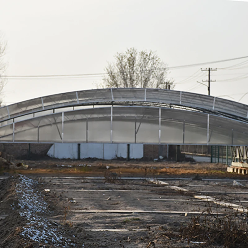 Agricultural cheap 8*30m single span 150micron PE film greenhouse for sale