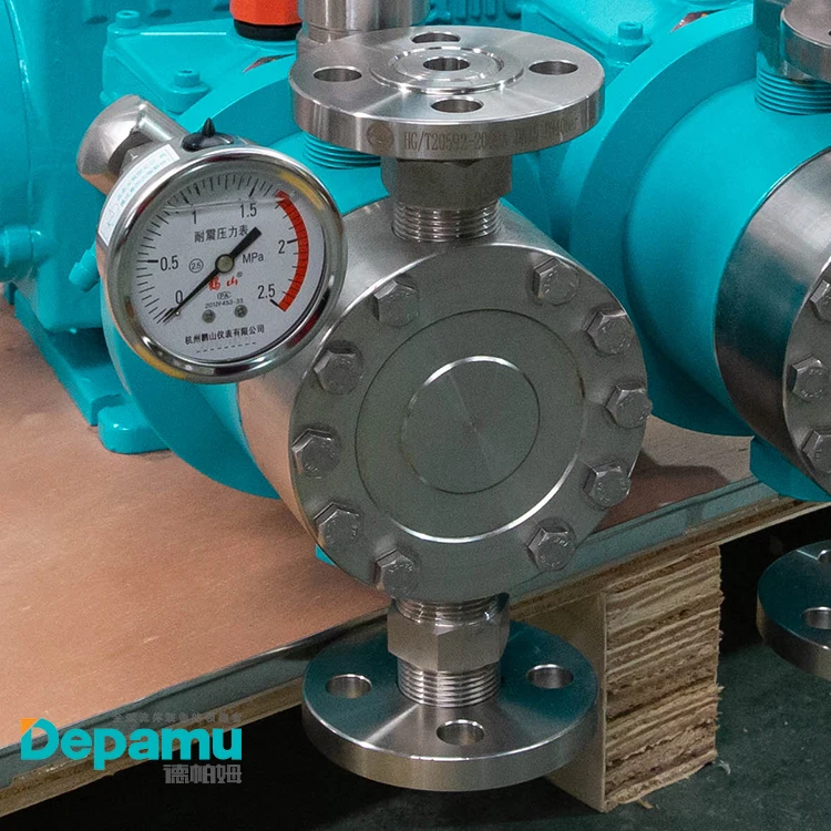 DEPAMU API675 Стандартный гидравлический мембранный дозирующий насос 2DPMWA с 5 головками насоса