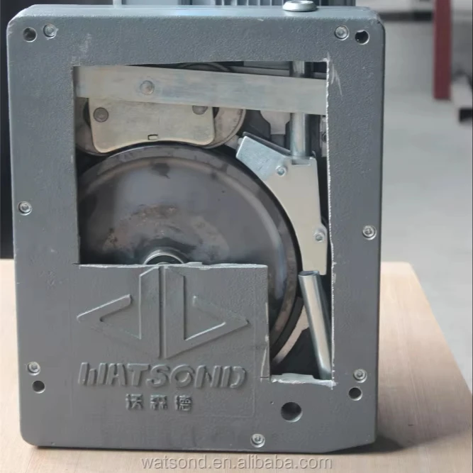 ZLP500 suspended platform hoist