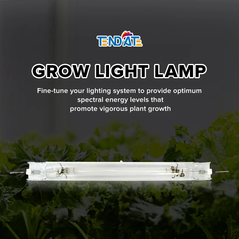 Professional Double Ended Greenhouse HPS Lamp