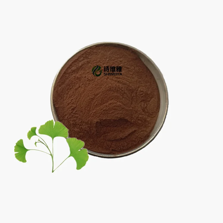 
Top grade Ginkgo Biloba Leaf Extract Powder 
