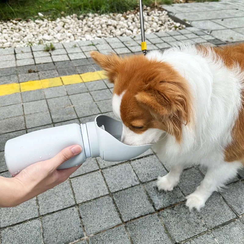 best NEW	Insulated	with Dog Feeder Bowl	water bottle pet feeder	pet water bottle filling machine	preform pet water bottle