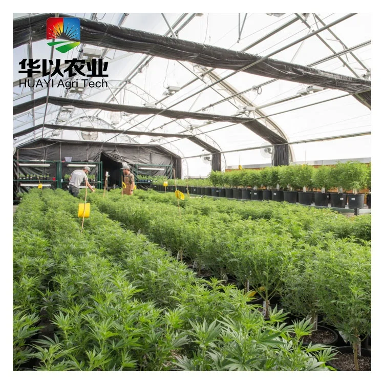 Full blackout hemp growing film greenhouse