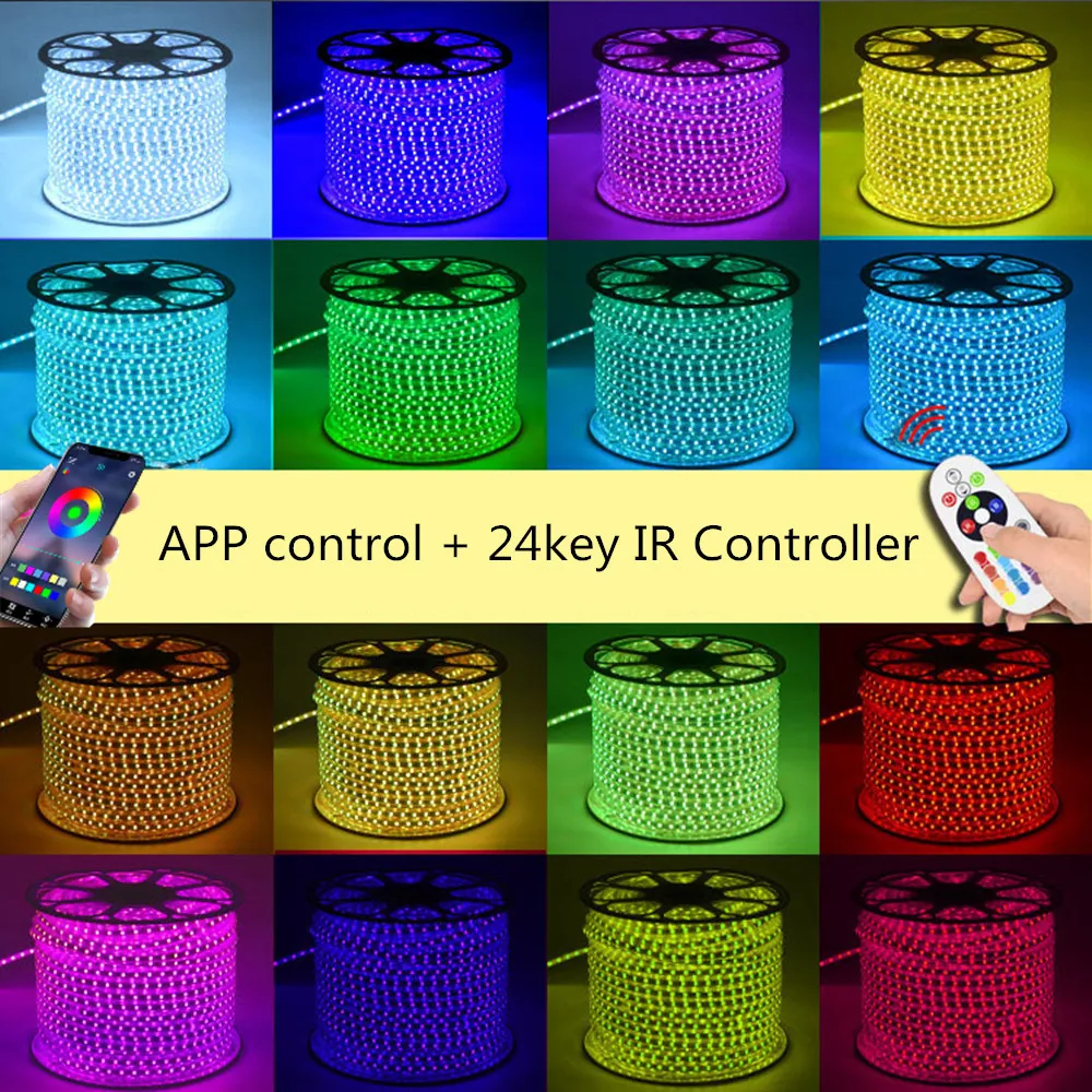 220V LED Strip Light Flexible Lights Outdoor Room Decoration Lamp SMD 5050 Tape Phone APP and Remote Control Waterproof 12V RGB