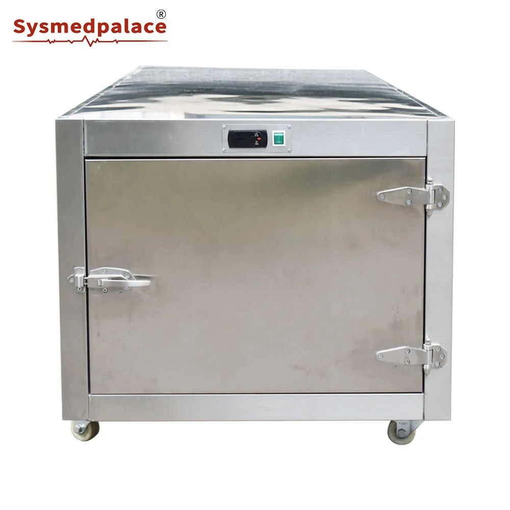 High Quality Body Cadaver Freezer In Stock Morgue Mobile Freezer Steel Morgue Freezer