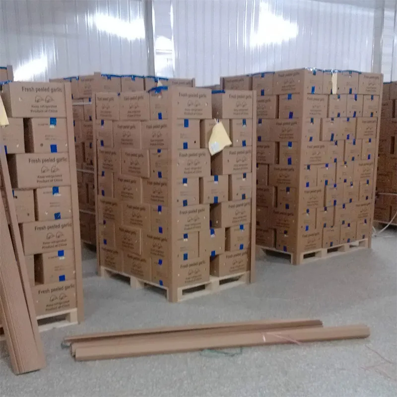 New Product Wholesales 2023 China Lemon Seedless Lime Fresh Lemon With Best Price