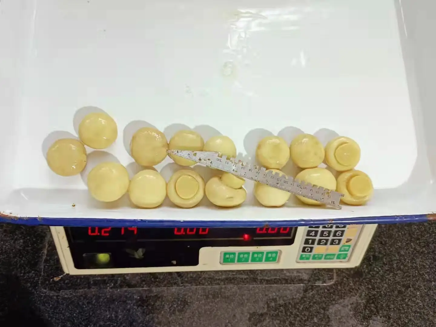 Top Quality Factory Price Sliced Canned Mushrooms Trade king oyster Slice Champignon Mushroom
