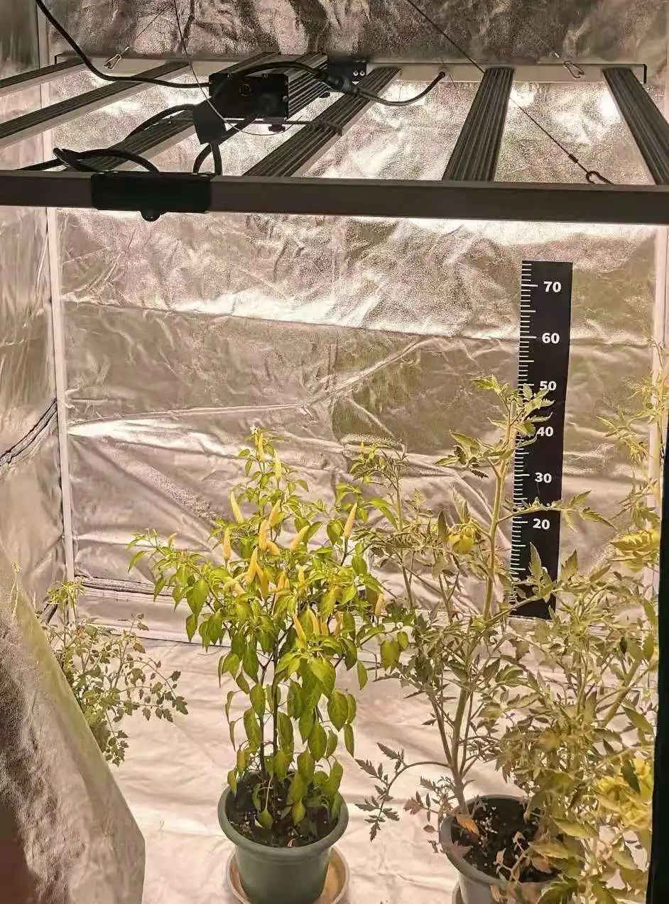 Programmable Led Grow Light Uv Ir Bar 200w 240w Smart Inside Group Control For Indoor Plant Vge Greenhouse Lm Smart