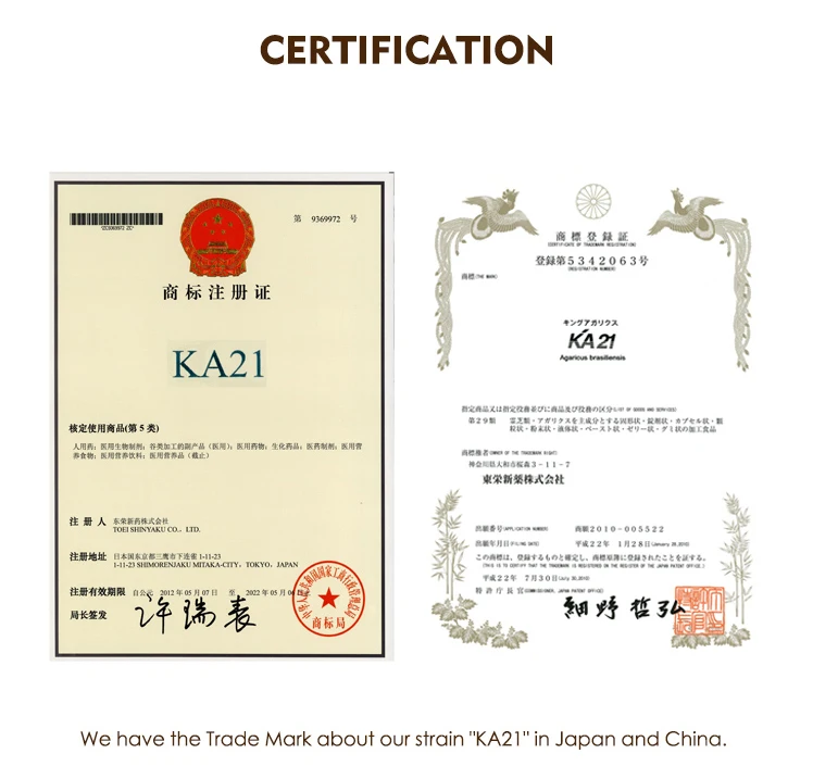 King Agaricus Medicinal Mushroom Joint Supplement For Dogs Tumor Reductions