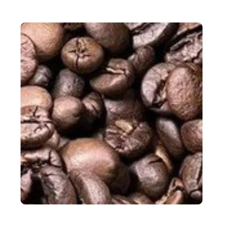 Roasted Arabica Fast Delivery Coffee Supplier Wholesale Coffee Customized Logo Vietnamese Coffee Vietnamese Product Manufacturer