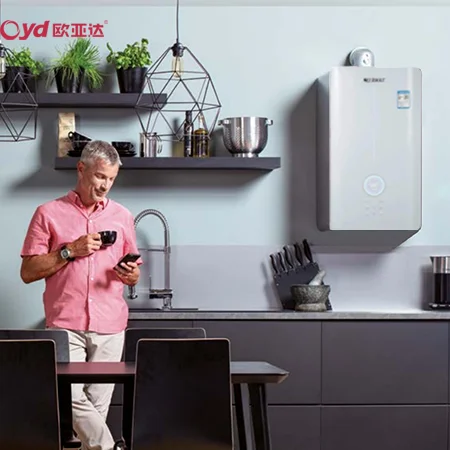 heater gas professional manufacturer gas water heater boiler low noisy for floor heating