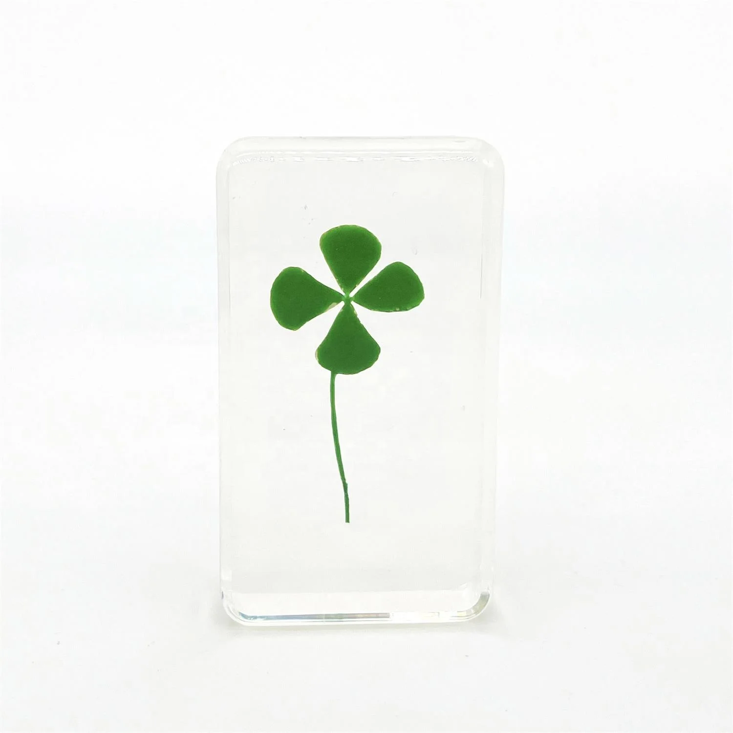Natural Crafts Four Leaf Clover Flower Plant Dry Flower Resin Craft Handicraft Souvenir