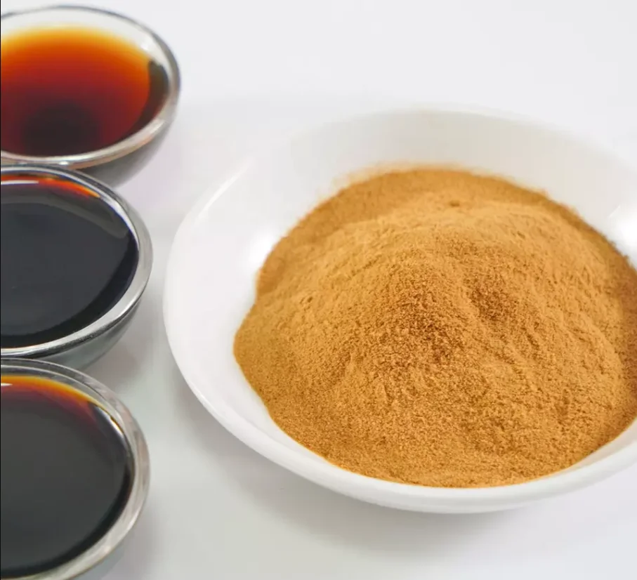 Factory Supply High Quality Soy Sauce Powder Lower Price Soy Sauce