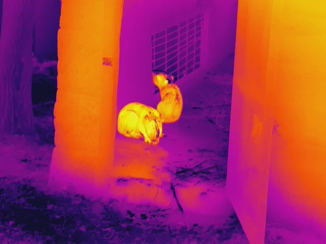 Photo/Video/Reviewing thermal imaging binoculars best night vision thermal binoculars For Night field Rescue