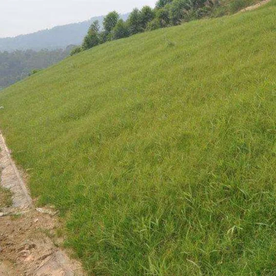 
Textured Honeycomb Plastic Gravel Stabilizer cellular confinement system HDPE Geocell 