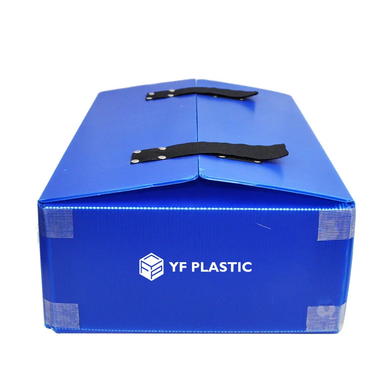 Waterproof dependable factory crab box indoor zhongkhai aquaculture