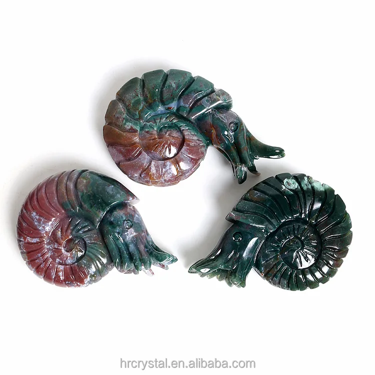 Healing Decorative Crystal Crafts Colorful Indian Agate Crystal Nautilus Carving for Sale