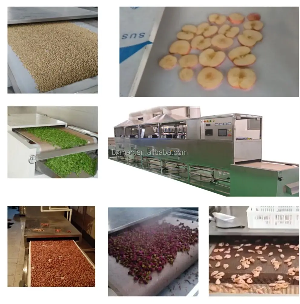 Microwave Shrimp Dryer Seafood Snacks Drying Sterilization Ripening Machine