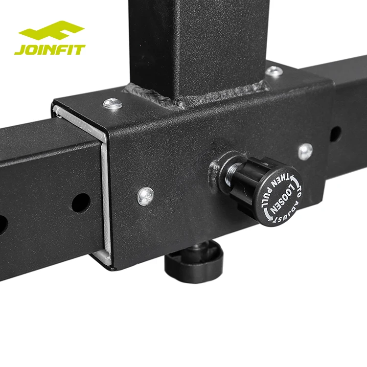 equipment adjustable roman chair