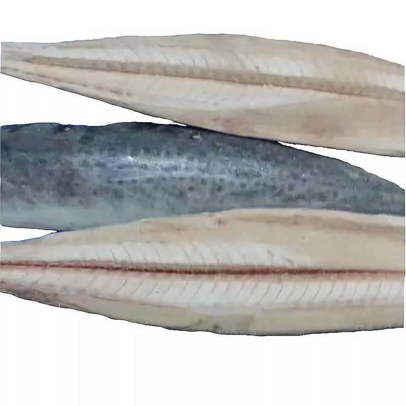 
New freshness seafood frozen spanish mackerel fillet pacific mackerel fish tin fish distributers for exporter 