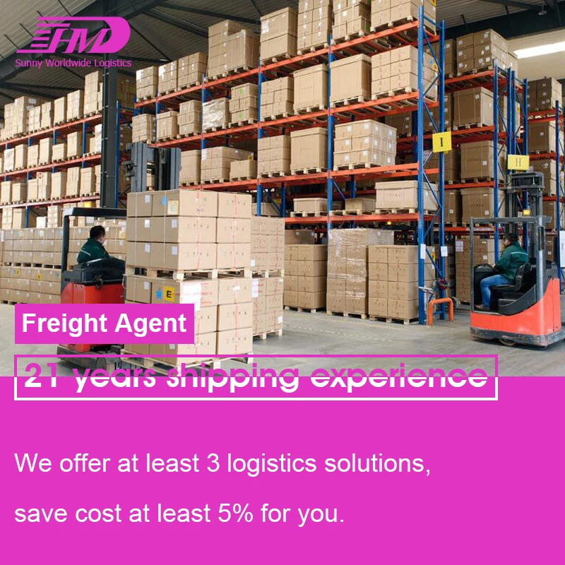 Swwls LCL sea freight from china to Netherlands shipping agent door to door