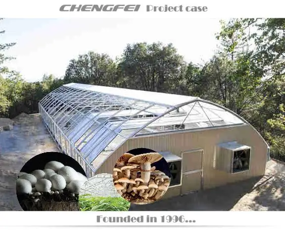 Single-span competitive light deprivation blackout agricultural greenhouse green house for hemp