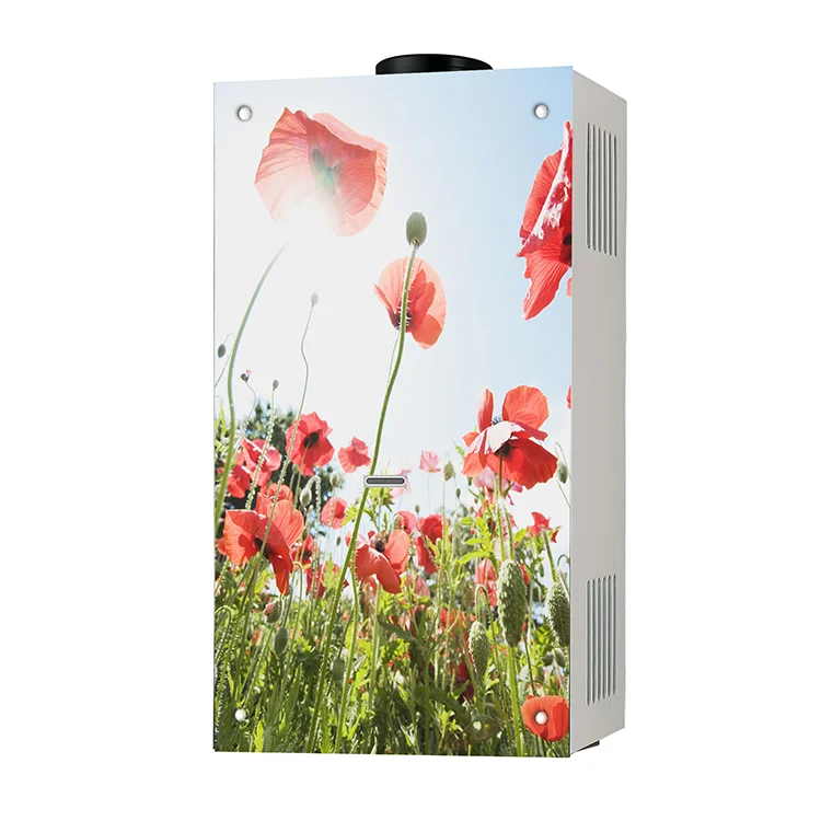 OEM spare parts 6 liter instant flue type gas geyser gas water heater