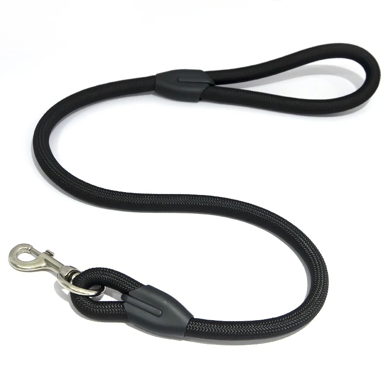 Waterproof British-style Slip Lead Rope Dog Leash No Pull Training Rope Lead Leashes