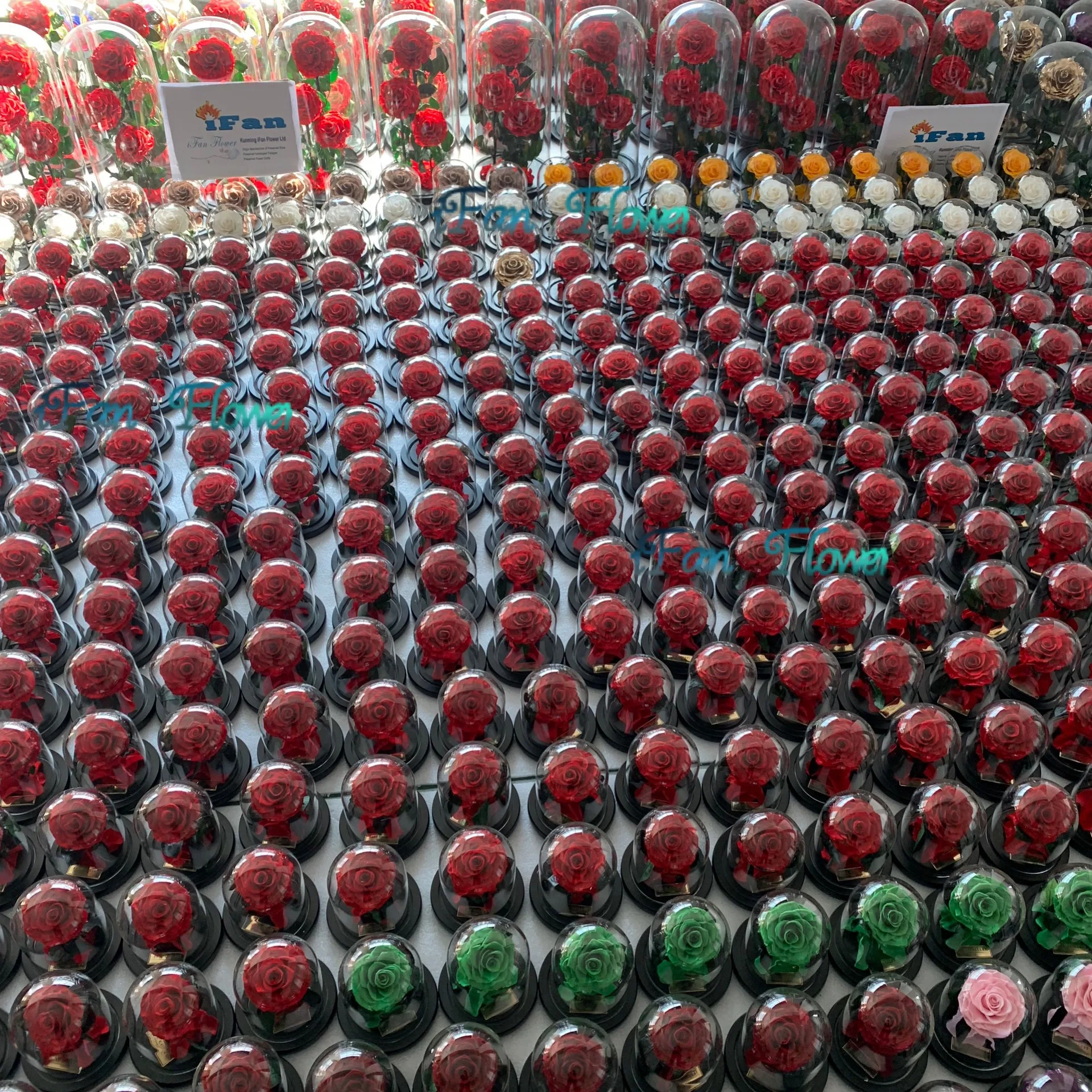 wholesale preserved roses flower in glass dome for national holiday gift fresh cut rose flower