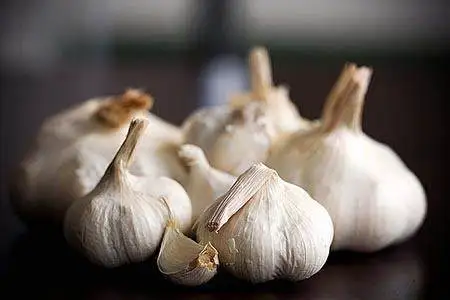 Manufacturers Supply Food Grade 10% Allcin Garlic Extract Garlic Powder Dehydrated