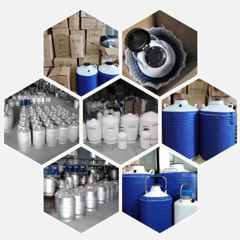 3 Liter Liquid Nitrogen Tank Bottle Cryogenic Container Liquid Nitrogen Storage Jar Cow Semen Storage Low Temperature Container