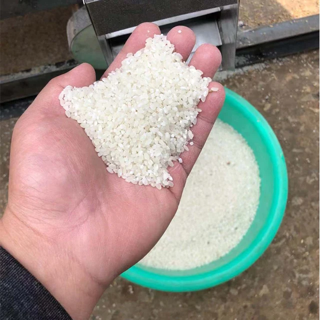 Combined type SB-5, SB-10D, SB-30, SB-50 paddy rice mill machine