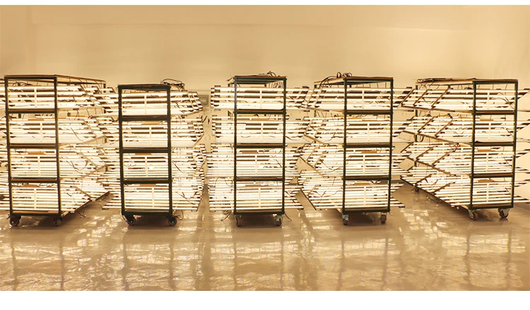 Cretivity Commercial Full Spectrum Plant Grow Lights 1000w 640w Led Light For Medical