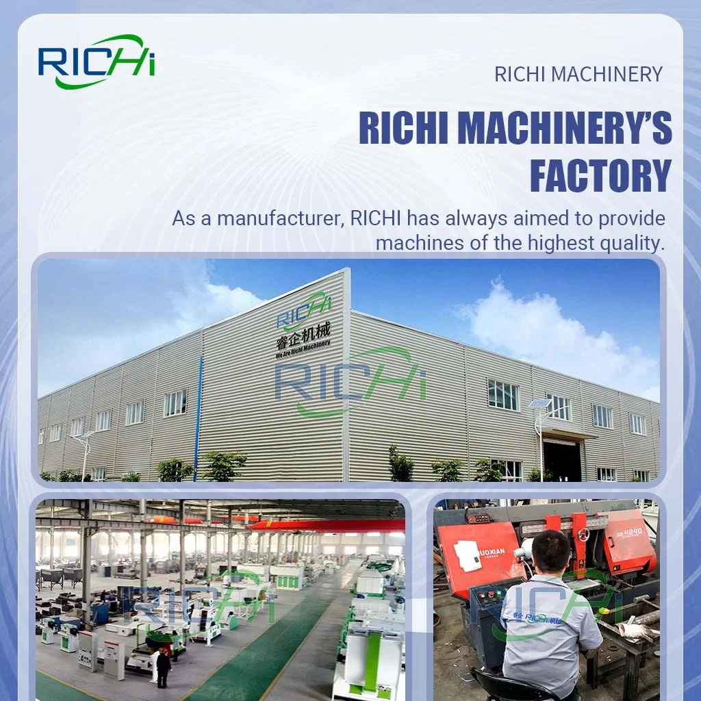RICHI 5-7 T/H Animal Livestock Cows Pig Poultry Chicken Layer Hen Feed Production Line of Feedstuff