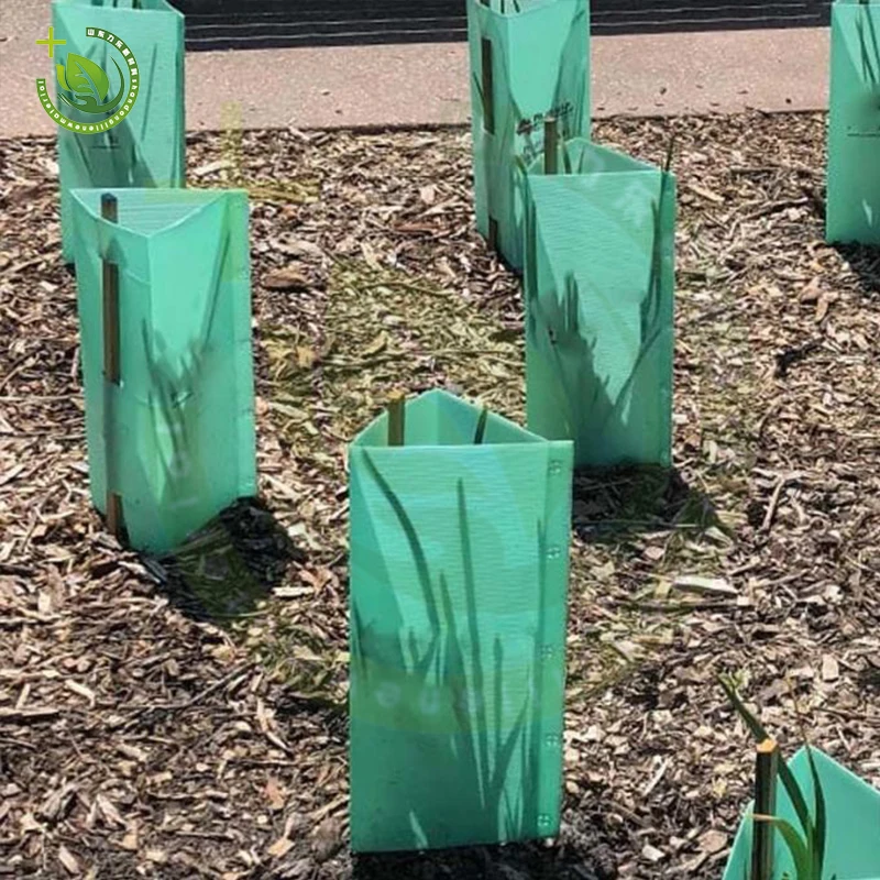 New Design Tree Guard Tree Trunk Protectorpp plastic sheet cutting board polypropylene sheets Uv Protection Seedling Protector