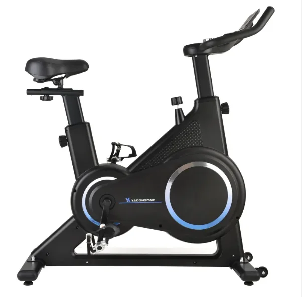 2024 cheap Factory High Quality Indoor Exercise Bike Light Weight Portable Exercise Bike For Daily Fitness