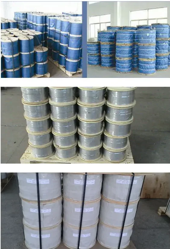Low Price Manufacturer Galvanized Steel Wire Rope Cable 1mm 2mm 3mm 4mm 5mm 6mm