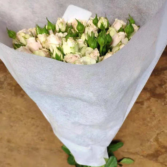 Welldone диспергируемый нетканый сельскохозяйственный покрывающий нетканый Мульч 100 г/м2 Tnt non woven