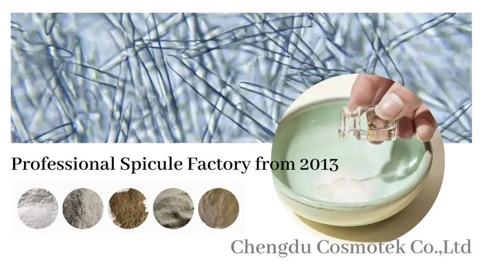 Сырье для ухода за кожей экстракт губки 70% 99% гидролизованный спонж порошок